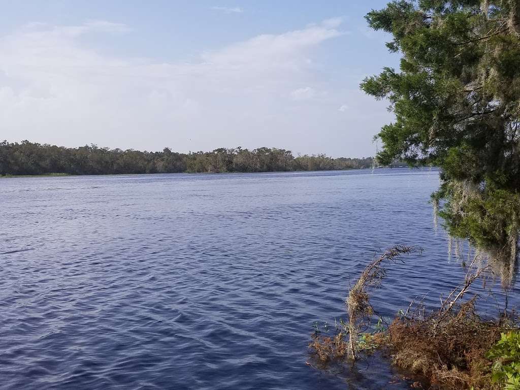 Park | 2520 St Johns River Rd, Astor, FL 32102, USA