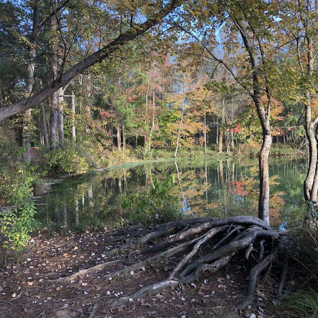 Anne Springs Close Greenway - Lake Haigler Entrance | 2573 Lake Haigler Drive, Fort Mill, SC 29715, USA | Phone: (803) 547-4575