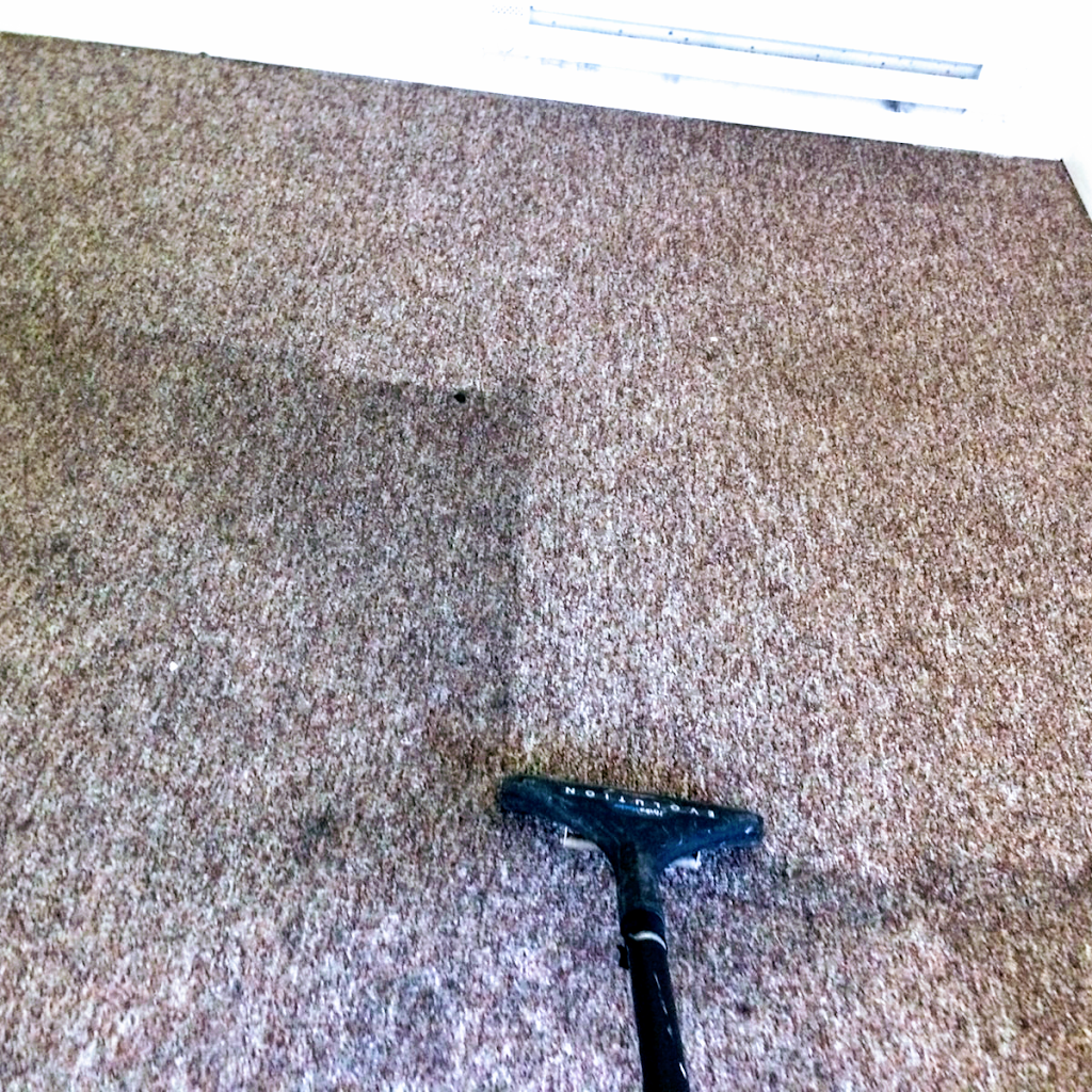 Sixberry Carpet Cleaning | 4365 E, IN-32, Crawfordsville, IN 47933, USA | Phone: (765) 359-1100