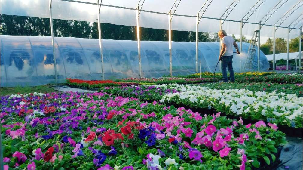 Green farms | 23 Beidleman Rd, Washington, NJ 07882, USA | Phone: (732) 887-6615