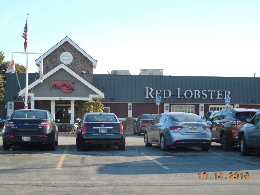 Red Lobster | 9500 SW Hwy, Oak Lawn, IL 60453, USA | Phone: (708) 636-1019