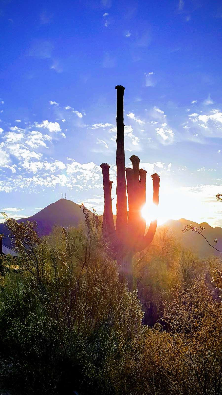 Desert Canyon | 10419 E McDowell Mountain Ranch Rd, Scottsdale, AZ 85255, USA