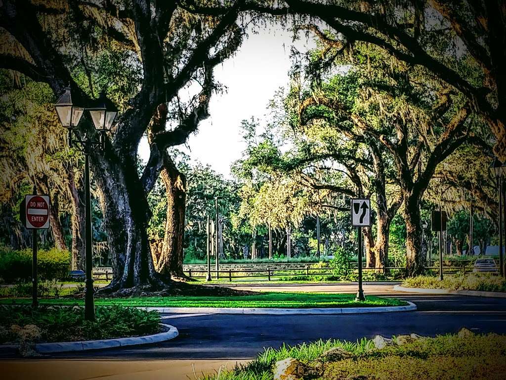 Fenney Nature Trail | Wildwood, FL 34785, USA