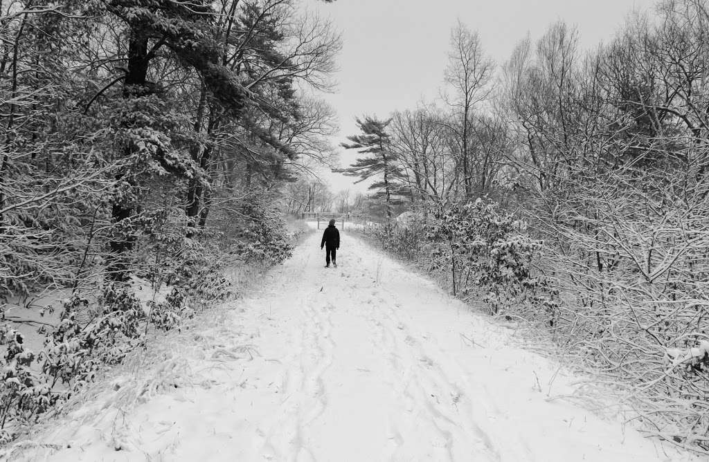 Doublet Hill Conservation Area | Weston, MA 02493, USA