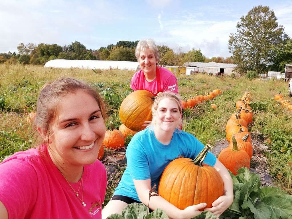 Jones Family Farm & Christmas Tree Nursery | 3501, 3521 Prospect Rd, Street, MD 21154 | Phone: (410) 676-3709