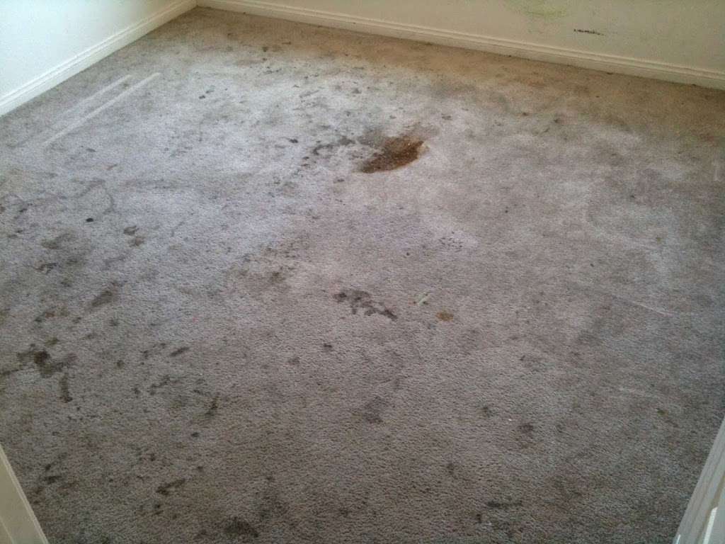 Best Building Carpet Care | 6829 Midpark Cir, Las Vegas, NV 89145, USA | Phone: (702) 286-3704