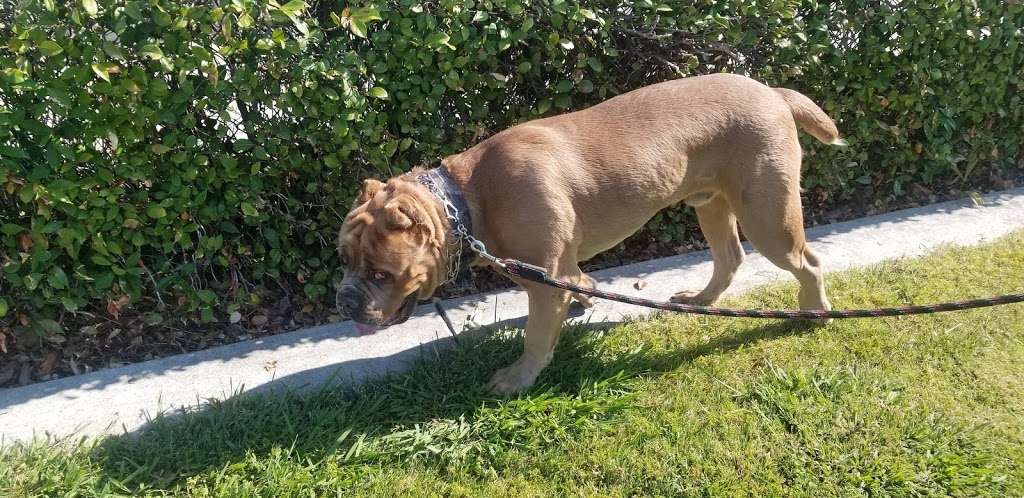 Chaparral Park | 5159 Prewett Ranch Dr, Antioch, CA 94531, USA