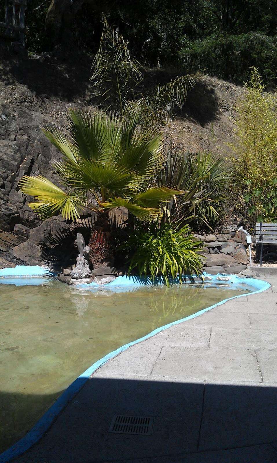 Torikian & Associates | 40 Barranca Rd, Lagunitas, CA 94938, USA | Phone: (415) 488-0636
