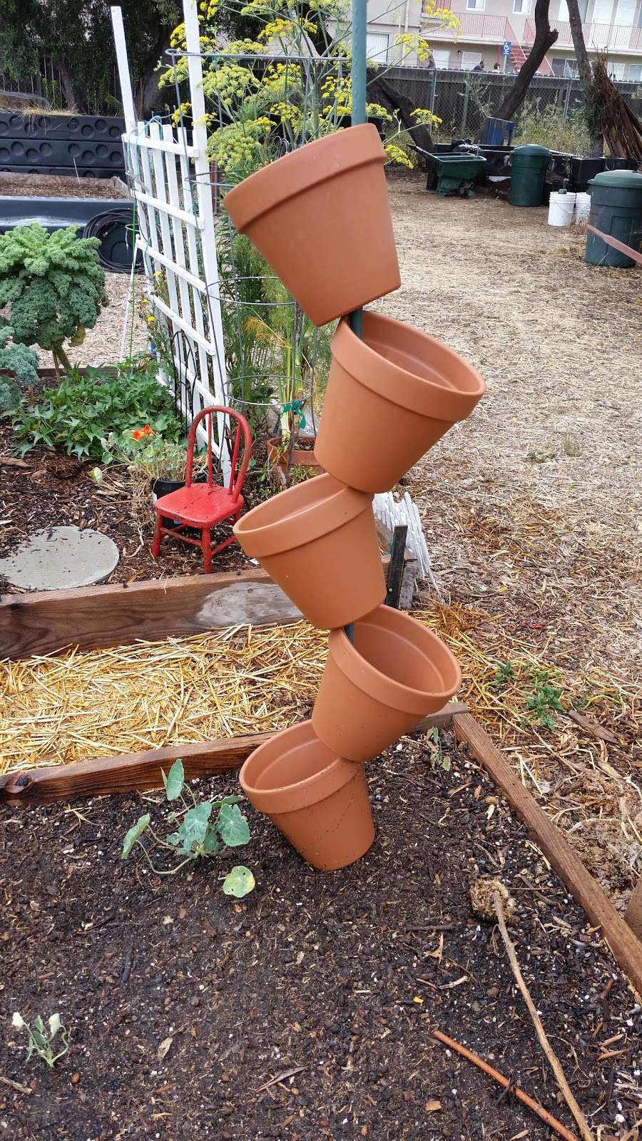 Mosaic Community Garden of Chula Vista | 960 5th Ave, Chula Vista, CA 91911, USA | Phone: (619) 457-1299