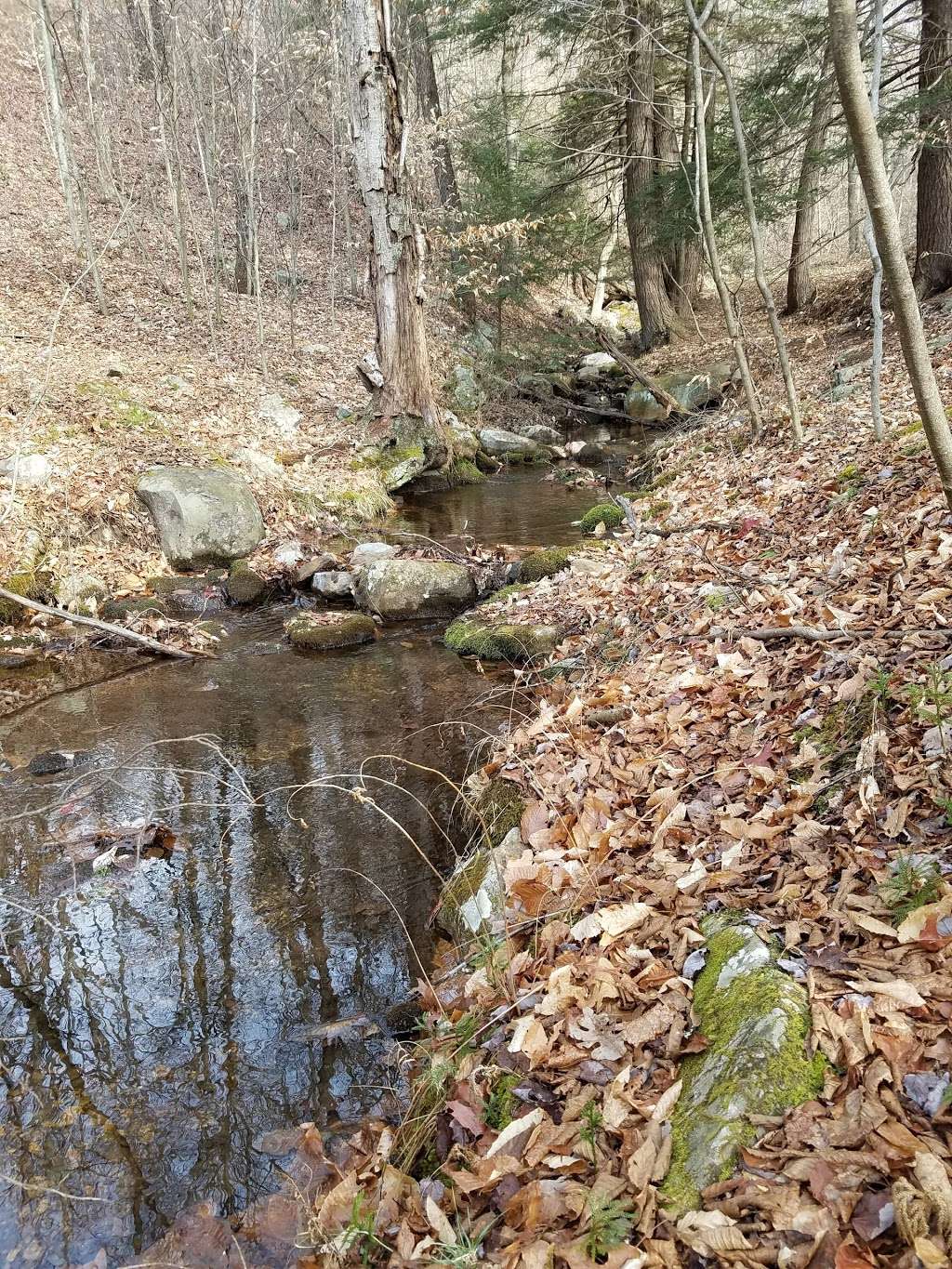 FIRELINE TRAIL (HICKORY RUN) | PA-534, White Haven, PA 18661, USA