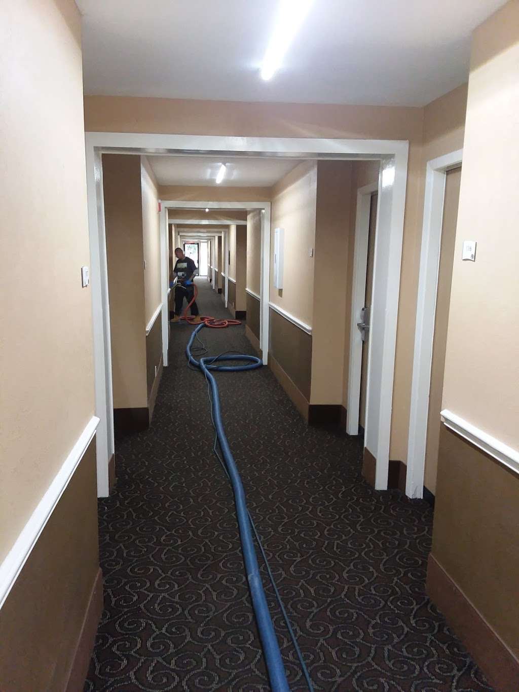 Americas Choice Carpet Cleaning | 4824 Appleseed Ct, San Antonio, TX 78238, USA | Phone: (210) 901-3556