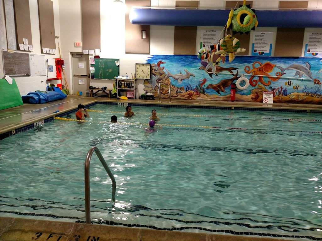 Swim-in Zone | 4355 Saucon Creek Rd, Center Valley, PA 18034, USA | Phone: (610) 625-4848