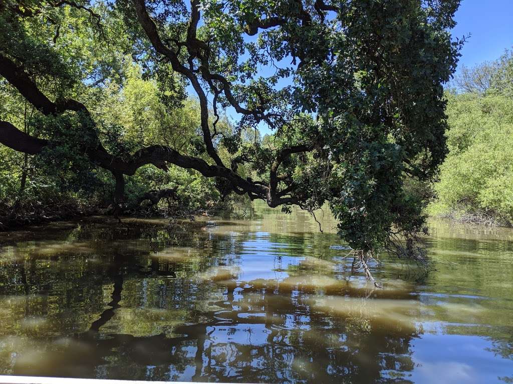 Laguna Wetlands Preserve | Sebastopol, CA 95472, USA | Phone: (707) 823-6167