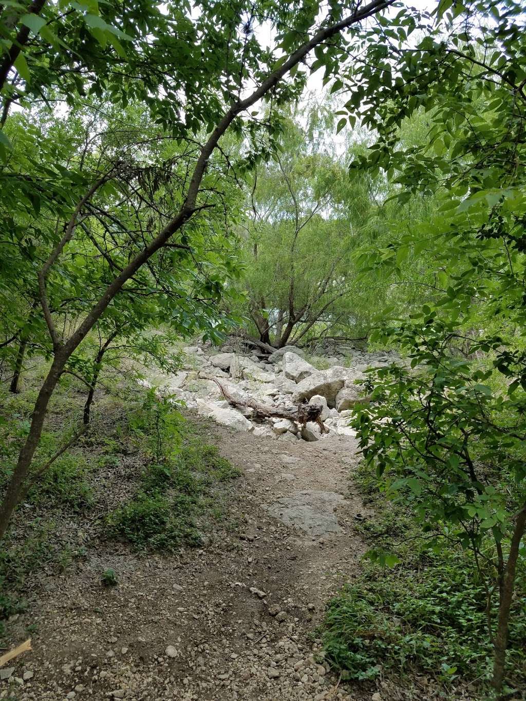 Nessie in the Quarry Pond at Tom Slick Park | 7620 NW Loop 410, San Antonio, TX 78245, USA