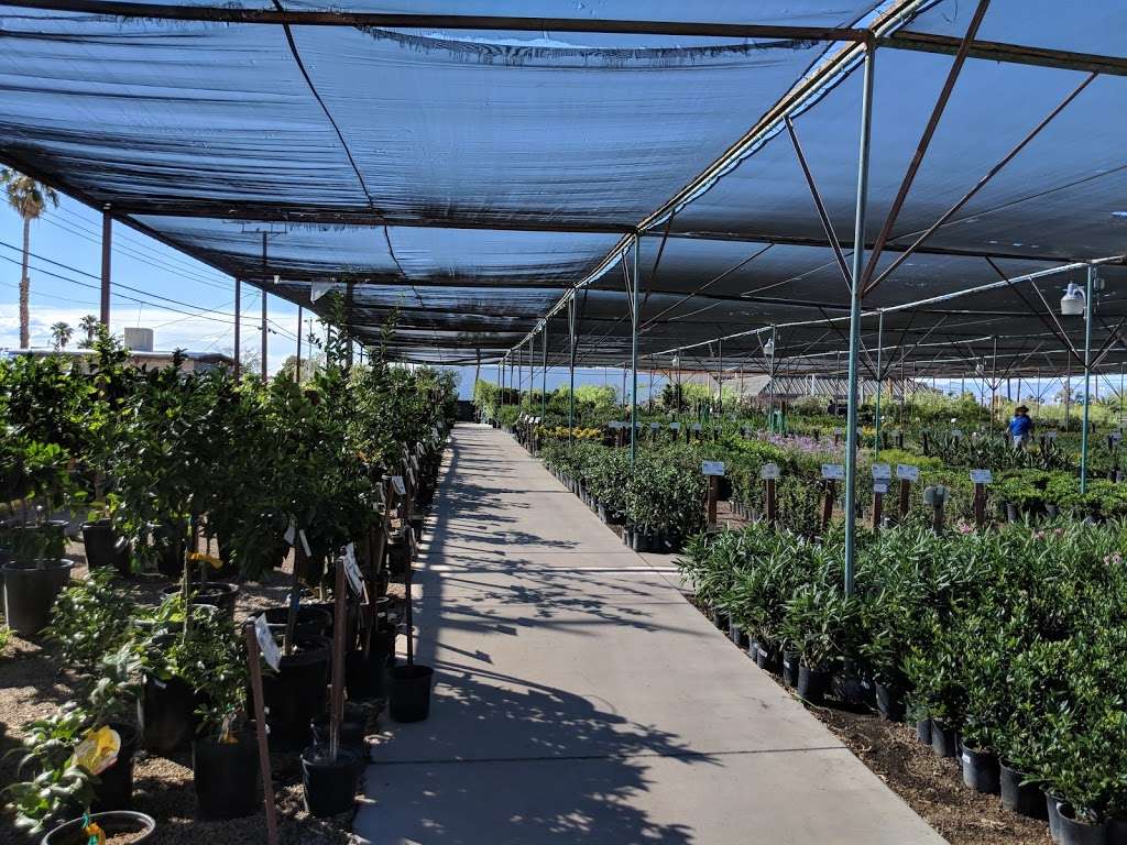 Star Nursery Inc | 6008, 5340 Boulder Hwy, Las Vegas, NV 89122 | Phone: (702) 435-7827