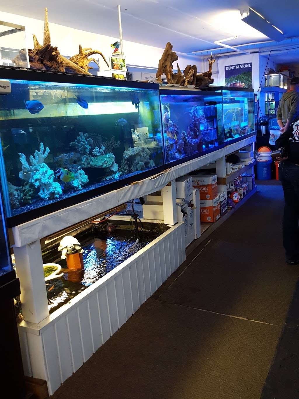 Aquarium World | 1512 Meetinghouse Rd, Upper Chichester, PA 19061, USA | Phone: (610) 485-3189
