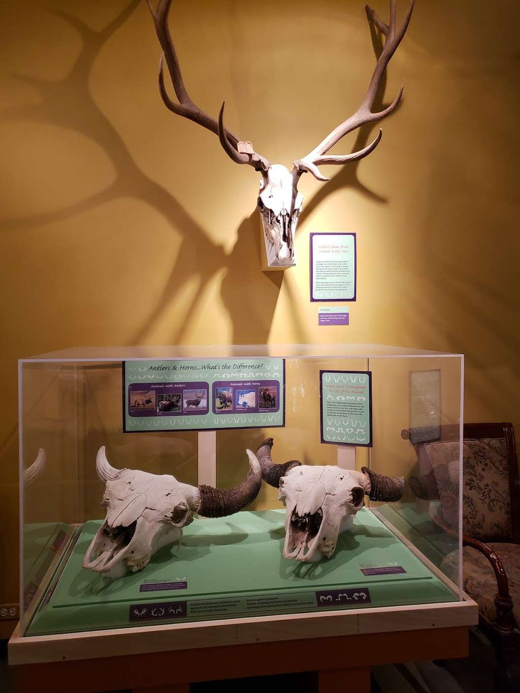 University of Colorado Museum of Natural History | Broadway, Boulder, CO 80302, USA | Phone: (303) 492-6892
