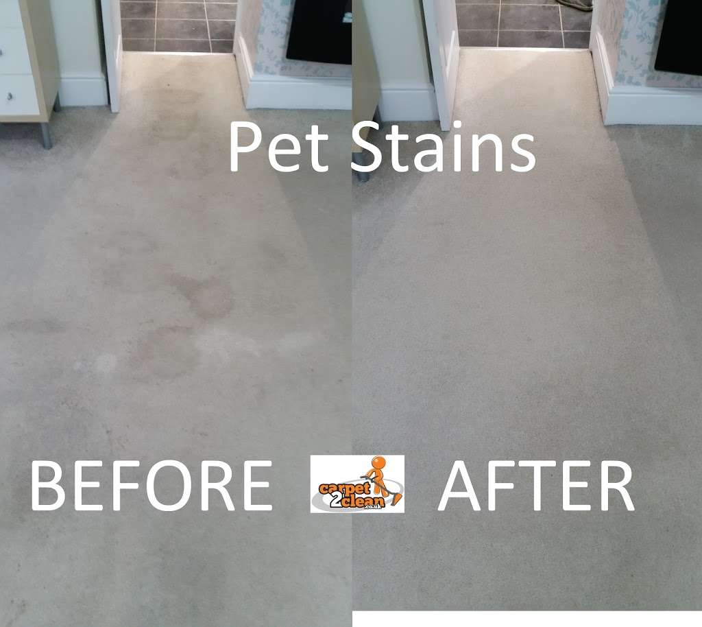 Carpet2Clean | 44 Hare Ln, Hatfield AL10 8PP, UK | Phone: 07733 831333