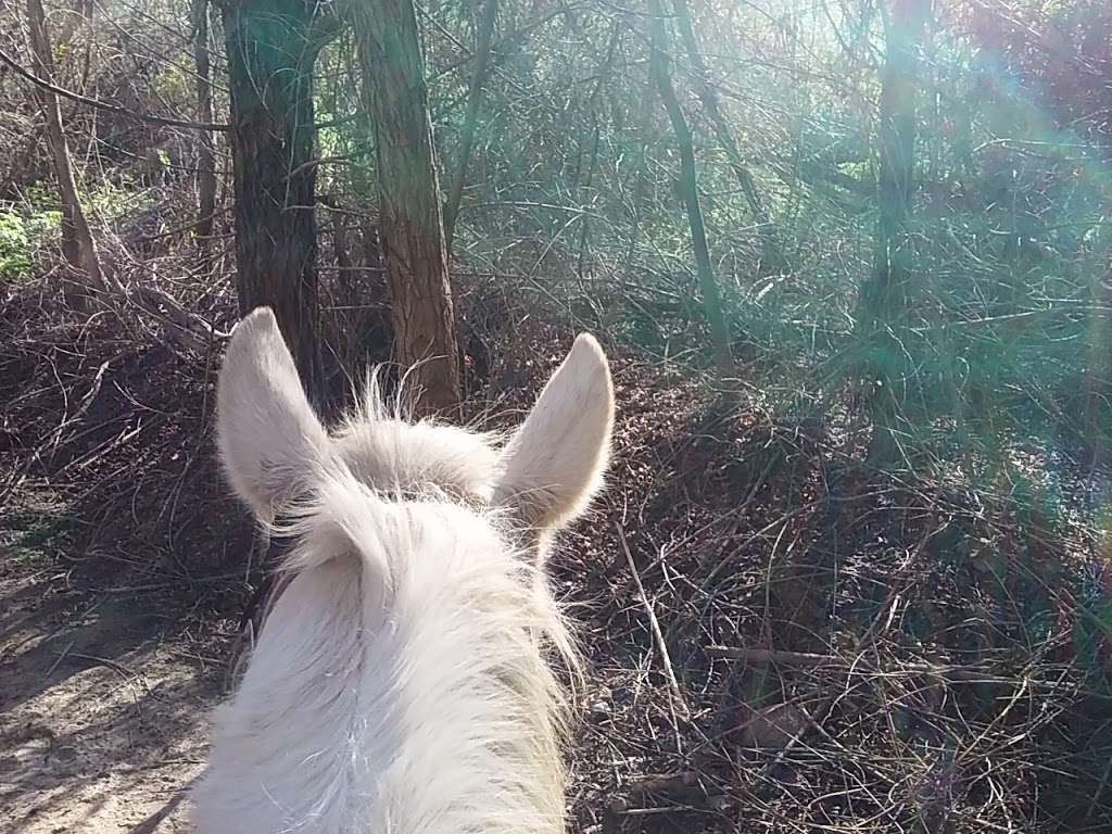Western Trails Horseback Riding - travel agency  | Photo 7 of 10 | Address: 4103 Pedley Ave, Norco, CA 92860, USA | Phone: (951) 403-1290