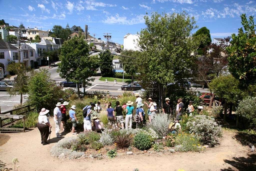 Garden for the Environment | 1590 7th Ave, San Francisco, CA 94122, USA | Phone: (415) 558-8246