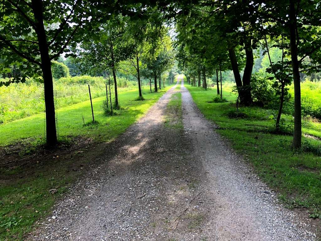 Bucktoe Creek Preserve | 432 Sharp Rd, Avondale, PA 19311, USA