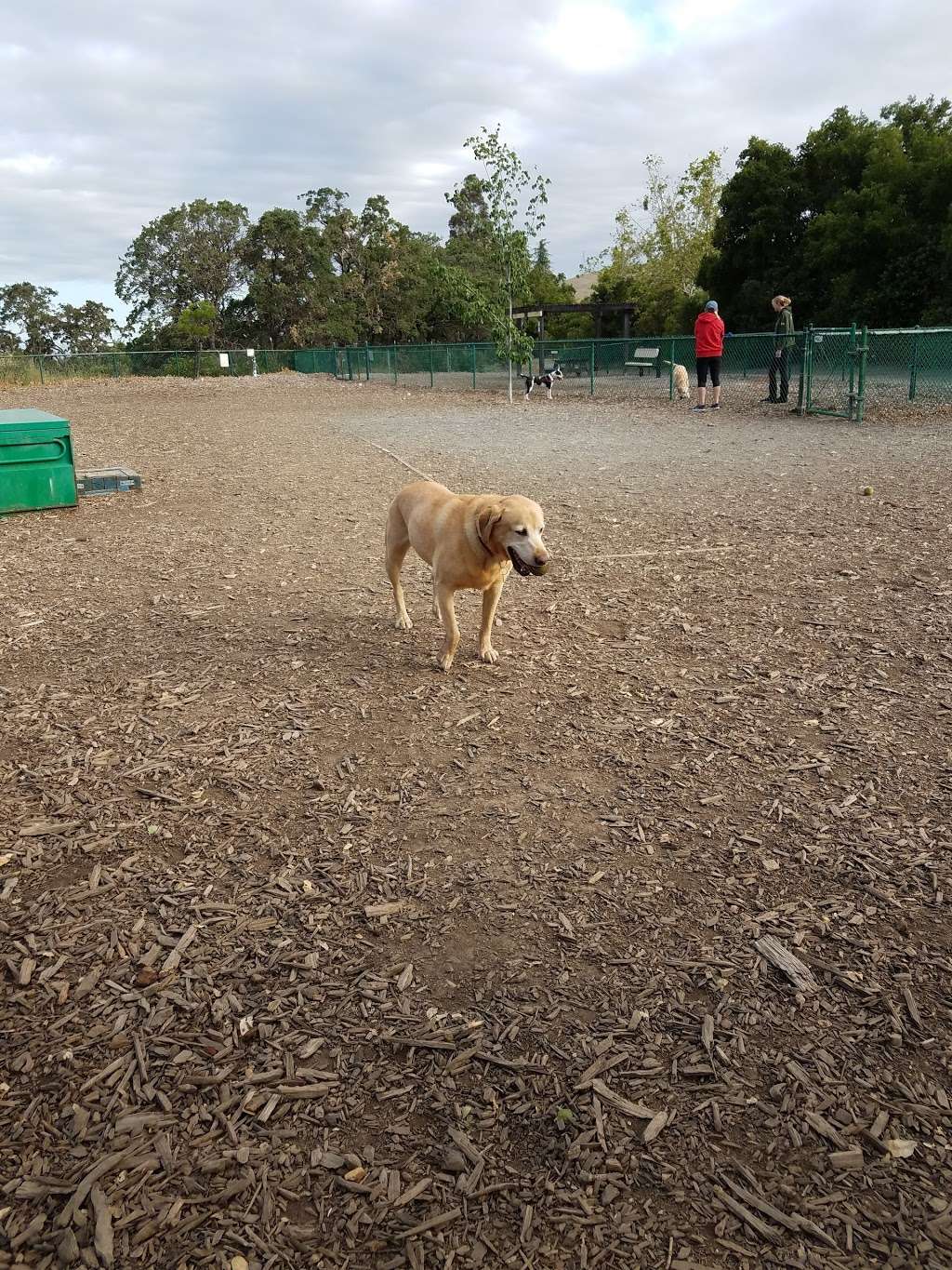 Clayton Dog Park | Marsh Creek Rd, Clayton, CA 94517 | Phone: (925) 203-5626