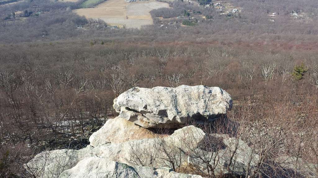 Annapolis Rock Black Rock Cliff | 11175 Baltimore National Pike, Myersville, MD 21773, USA