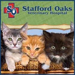 Stafford Oaks Veterinary Hospital | 927 Dulles Ave, Stafford, TX 77477 | Phone: (281) 499-3538