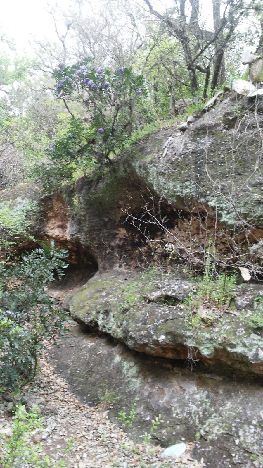 Cathedral Rock Park | San Antonio, TX 78251, USA | Phone: (210) 207-7275