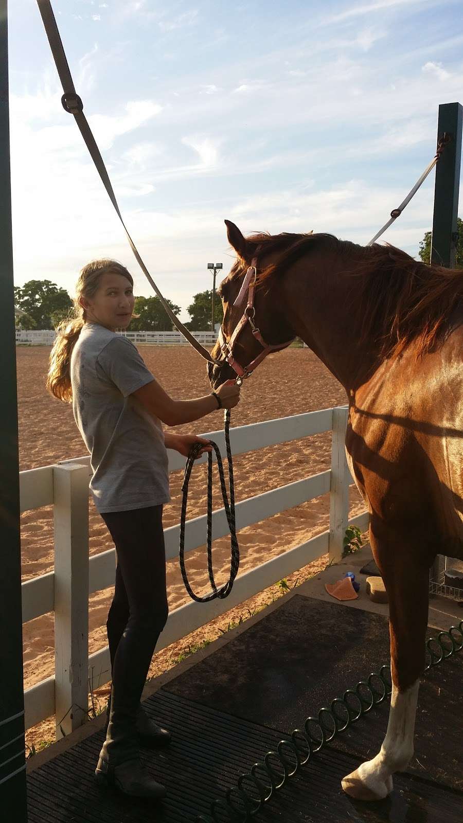 Lone Star Riding School | 20993-21105 FM 362, Waller, TX 77484, USA | Phone: (281) 684-0275