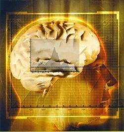 The Dragon and Phoenix Healer | 3215 Highland Ave, Manhattan Beach, CA 90266, USA | Phone: (310) 545-6528