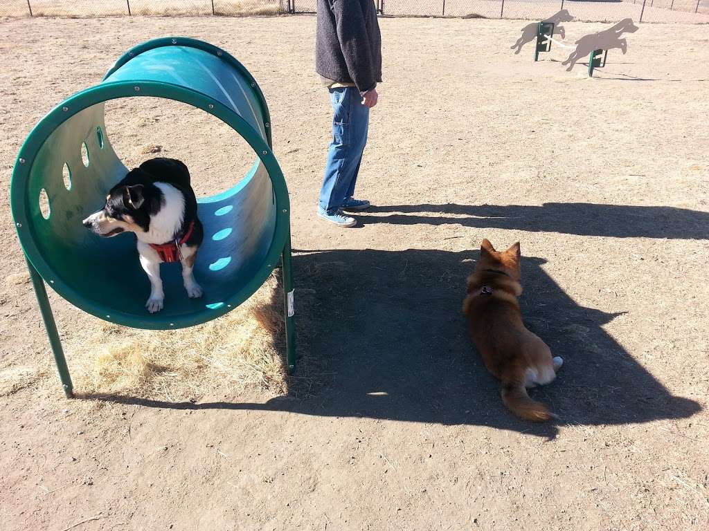 Lowry Dog Park | Yosemite Way & E 4th Pl, Denver, CO 80230, USA | Phone: (720) 913-1311