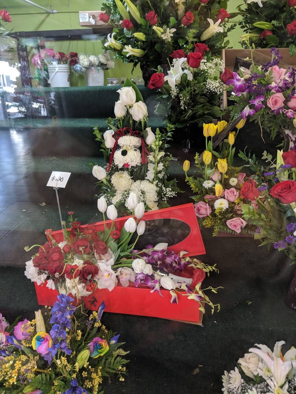 Santos Flowers | 1628 S Main St, Santa Ana, CA 92707 | Phone: (714) 556-8197