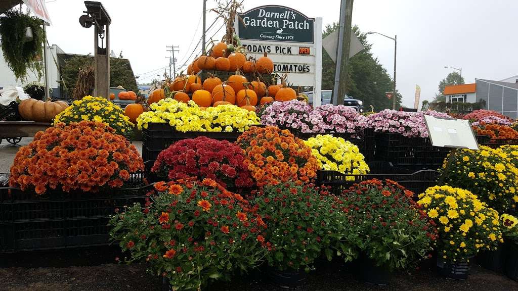 Darnells Garden Patch | 180 Caroline St, Orange, VA 22960, USA | Phone: (540) 672-1449