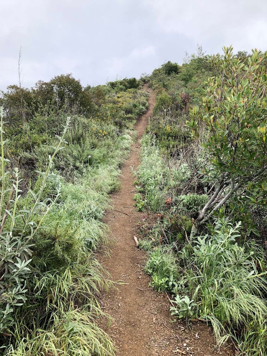 Small Peak at Robinson Ranch | Bell View Trail, Corona, CA 92883, USA