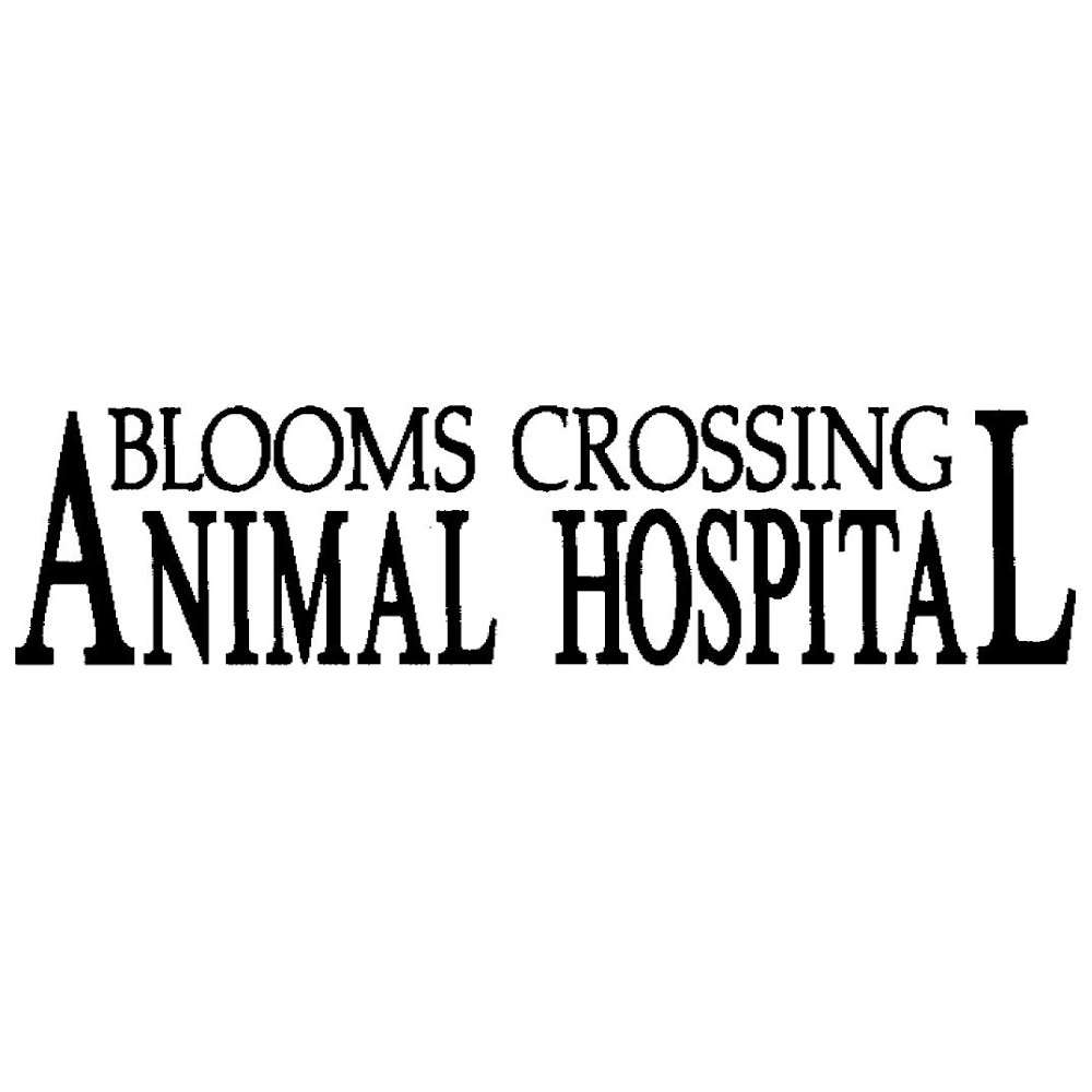Blooms Crossing Animal Hospital | 9471 Manassas Dr, Manassas Park, VA 20111, USA | Phone: (703) 335-7766