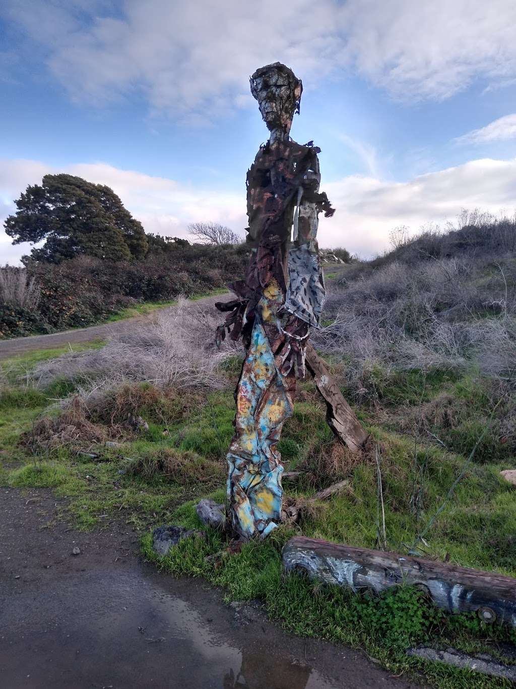 Vanessa And Jesus Trail | Unnamed Road, Richmond, CA 94804