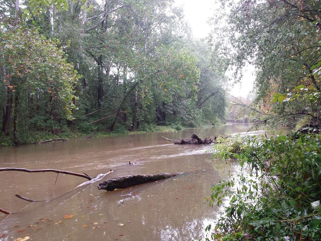 Stauffers Marsh Nature Preserve | Back Creek Valley Rd, Hedgesville, WV 25427, USA | Phone: (681) 252-1387