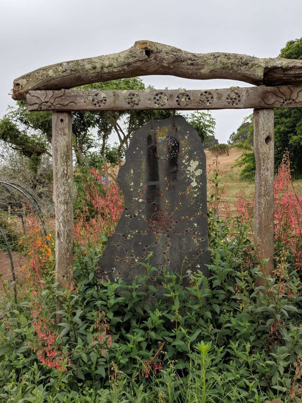 Life Lab | 1156 High St, Santa Cruz, CA 95064, USA | Phone: (831) 459-2001