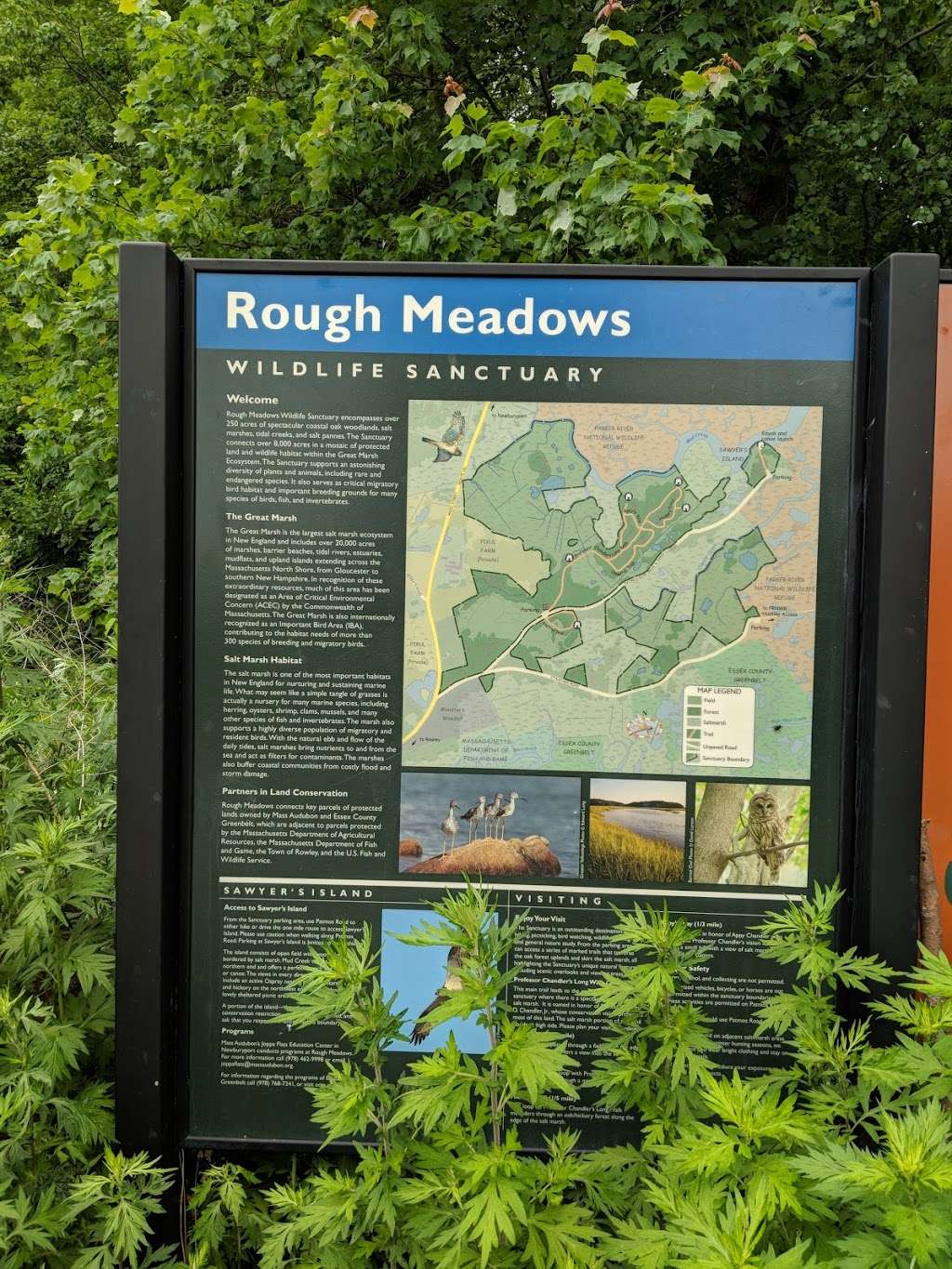 Mass Audubons Rough Meadows Wildlife Sanctuary | Patmos Rd, Rowley, MA 01969 | Phone: (978) 462-9998