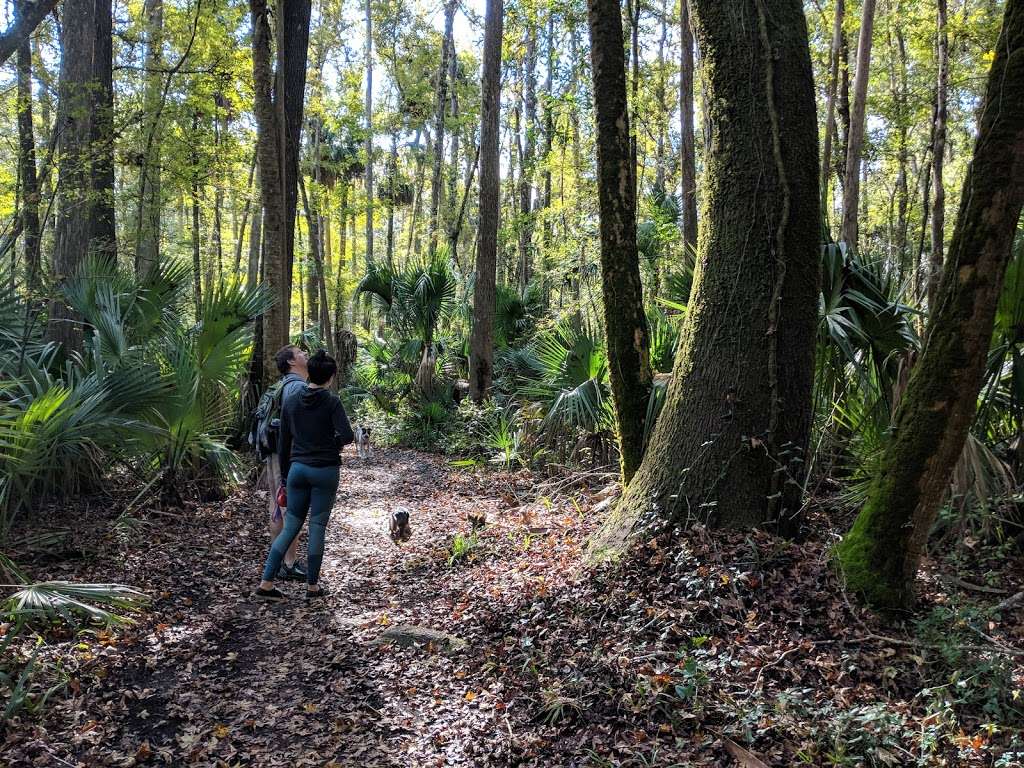 Marshall Swamp Trailhead | 8282 SE Hwy 314, Ocala, FL 34470, USA | Phone: (352) 671-8560