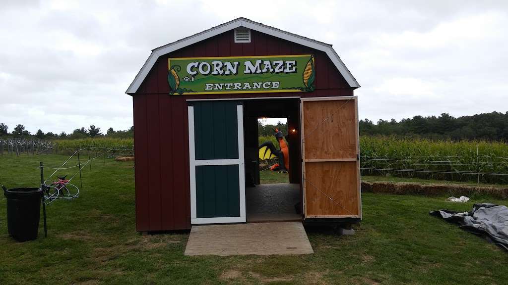 Marini Farm Stand | 259 Linebrook Rd, Ipswich, MA 01938 | Phone: (978) 356-0430