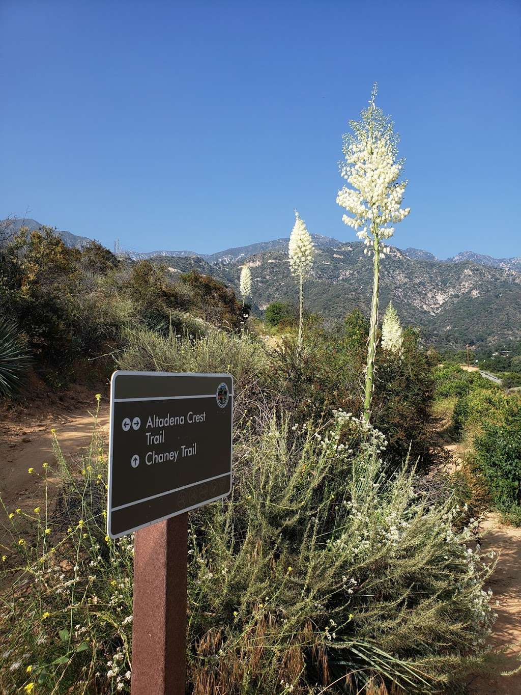 Altadena Crest Trail | Unnamed Road, Altadena, CA 91001, USA