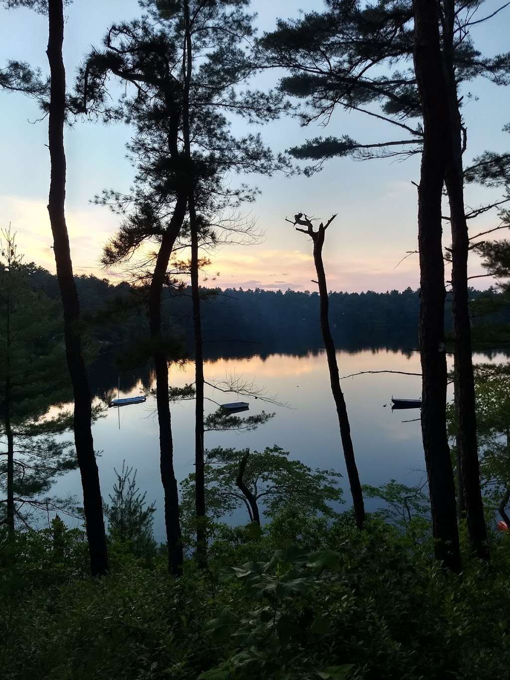 Blueberry Hill Campground | 571 Rocky Pond Rd, Plymouth, MA 02360, USA | Phone: (781) 293-6327