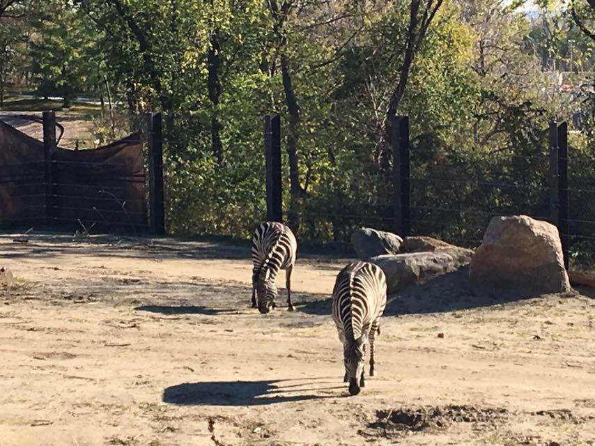 Omaha Zoo North Entrance | 3319 S 10th St, Omaha, NE 68108, USA | Phone: (402) 733-8401