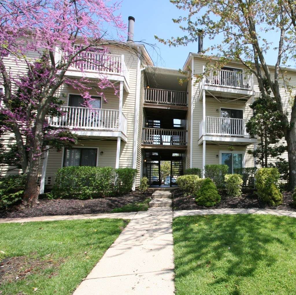 The Village at Voorhees | 10 Lucas Ln, Voorhees Township, NJ 08043, USA | Phone: (856) 720-0177