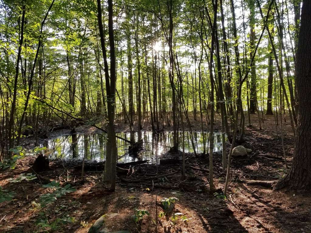 Gates Pond Reservoir Loop Trail | 99 Taylor Rd, Berlin, MA 01503