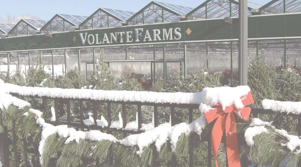 Volante Farms Christmas Shop | 292 Forest St, Needham, MA 02492, USA | Phone: (781) 444-2351