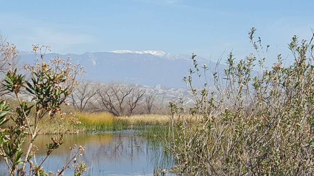 San Jacinto Wildlife Area | 17050 Davis St, Lakeview, CA 92567, USA | Phone: (951) 928-0580