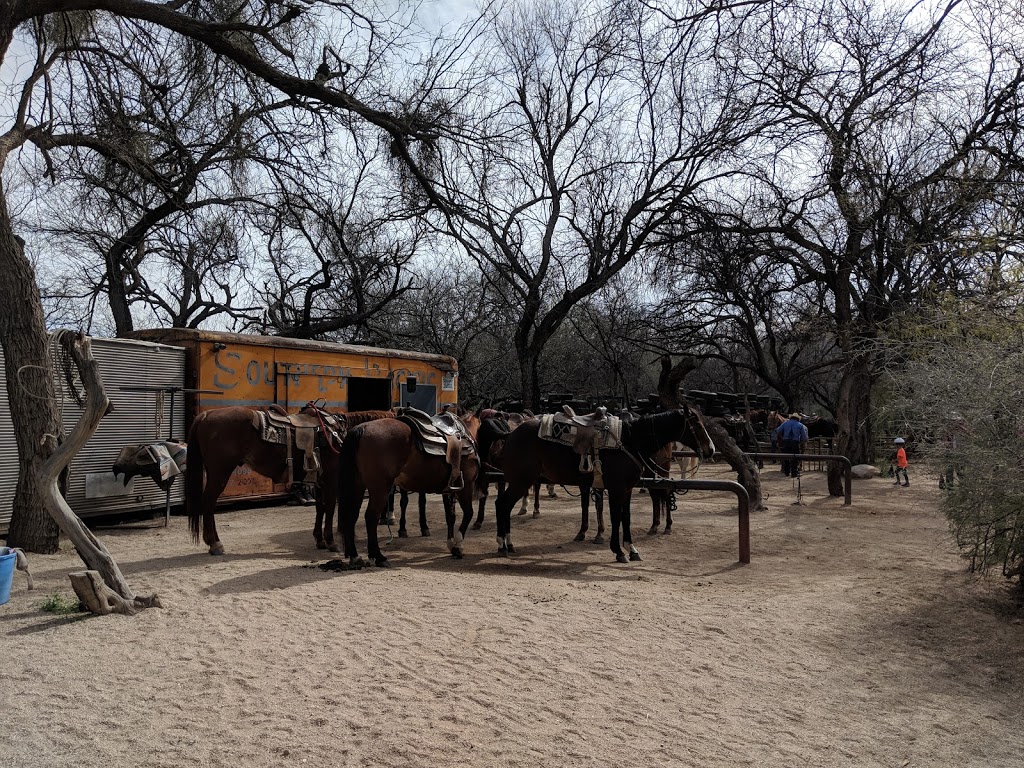 Houstons Horseback Riding | 12801 E Speedway Blvd, Tucson, AZ 85748, USA | Phone: (520) 298-7450